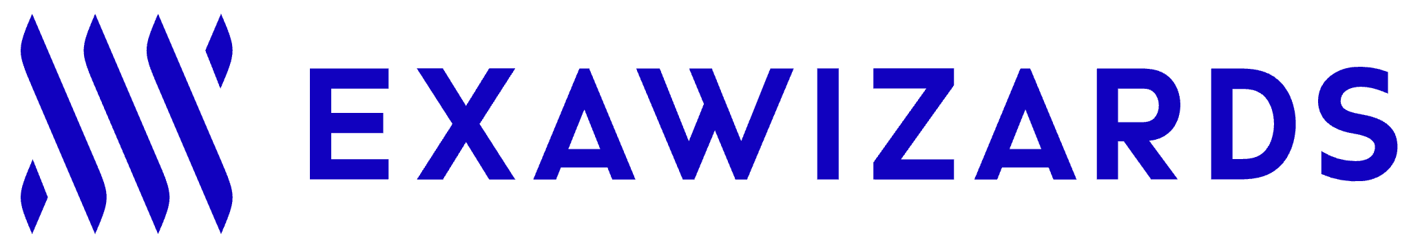 EXAWIZARDS